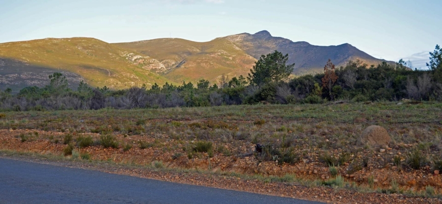 0 Bedroom Property for Sale in Fisherhaven Western Cape